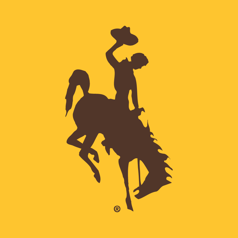 Wyoming Cowboys 2006-Pres Alternate Logo iron on transfers for T-shirts